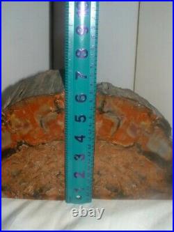 Rainbow Petrified Wood Bookends Felted 16 lb 3 oz pair