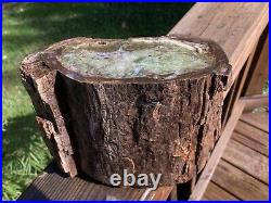Rare 10.8 Pound Chromium Green Petrified Wood Log From Zimbabwe