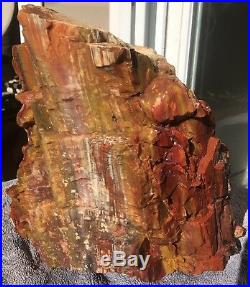Rare Arizona Rainbow Petrified Wood Fossil Natural Lapidary Rough Slab 17 Lbs