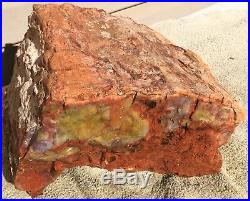 Rare Arizona Rainbow Petrified Wood Natural Bark Fossil Raw Lapidary Slab 22 Lbs