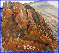 Rare Arizona Rainbow Petrified Wood Natural Slab Rough Raw Solid Fossil 30 Lbs