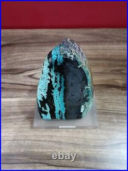 Rare Blue opalized petrified wood polished with base 1305gr 8x10x12cm (32)