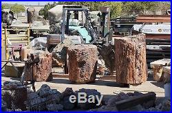Rare Giant 3 Foot Tall Arizona Painted Petrified Wood Stump Large Dealer
