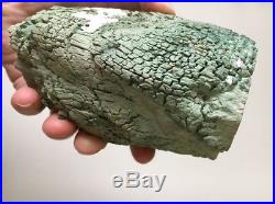 Rare Green Petrified Wood 113 mm Chromium Log Araucarioxylon arizonicum