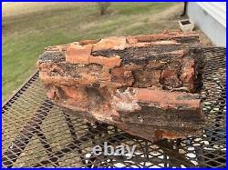 Rare Large Petrified Wood Trunk Bark 37 lb Arizona Beautiful Red Color