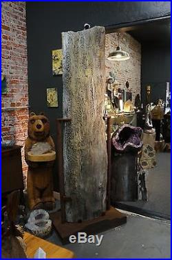 Rare Museum Quality 7 Foot Tall Montana Petrified Wood On Iron Stand