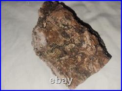 Rare Natural Petrified Wood Bark Specimen Arizona Mine Old Stock 4x5x2.5in