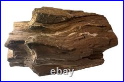 Rare Natural Petrified Wood Rough Wood Fossil Mineral Specimen Rare Natural Petrified Wood Rough Wood Fossil Mineral Specimen