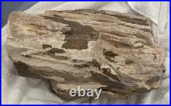 Rare Natural Petrified Wood Rough Wood Fossil Mineral Specimen Rare Natural Petrified Wood Rough Wood Fossil Mineral Specimen