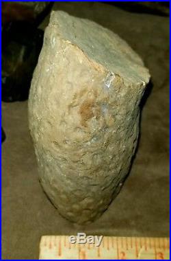 Rare Oklahoma Petrified Wood Lycopod Fossil Artifact Stone Rock Arrowhead
