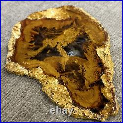 Rare Parker, Colorado Petrified Wood Mirror Polished Slab 174 Grams