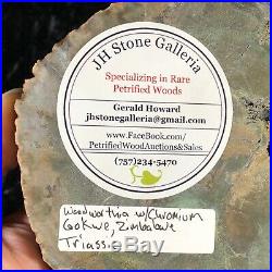 Rare Petrified Wood Chromium Woodworthia Slab Gokwe, Zimbabwe 4.5x4.25