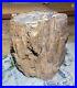 Rare_Petrified_Wood_Trunk_Bark_112_lbs_Fossil_01_fy