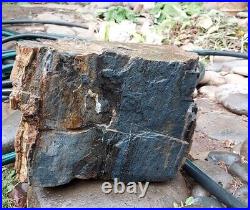 Rare Petrified Wood Trunk Bark 50 Lb Fossil Petrified Knotted String Artefact