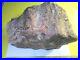 Rare_Premium_Piece_of_Cherry_Creek_Petrified_Wood_rough_Over_21_lbs_01_myww