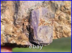 Rare Purple Fluorite Dadoxylon Chemnitz Germany Petrified Wood In Matrix