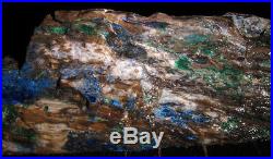 Rare azurite and malachite in petrified wood faced rough, Turkey. 1.9lbs Colla