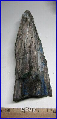 Rare azurite and malachite in petrified wood faced rough, Turkey. 1.9lbs Colla