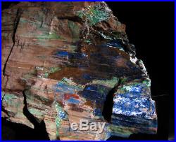 Rare azurite and malachite in petrified wood faced rough, Turkey. 6 pounds Colla