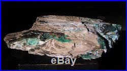 Rare azurite and malachite in petrified wood faced rough, Turkey. 6 pounds Colla