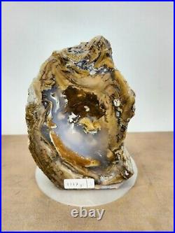 Rare brown beige petrified wood with crystal polished 1217gr