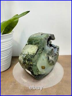 Rare green brown petrified wood polished natural home decoration 1200gr