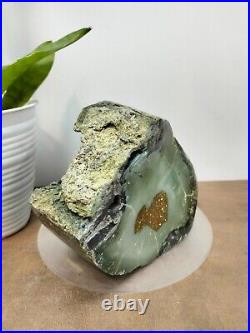 Rare green brown petrified wood polished natural home decoration 1200gr