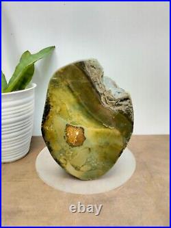 Rare green brown petrified wood polished natural home decoration 1600gr