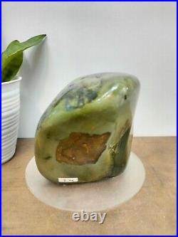 Rare green brown petrified wood polished natural home decoration 2000gr