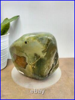 Rare green brown petrified wood polished natural home decoration 2000gr