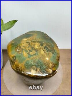 Rare green brown petrified wood polished natural home decoration 3300gr B 304