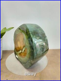 Rare green brown petrified wood polished natural home decoration 3600gr
