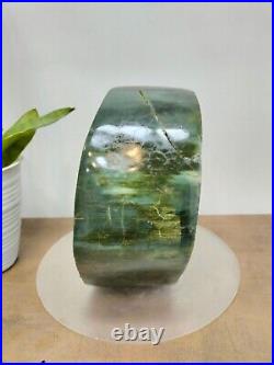 Rare green brown petrified wood polished natural home decoration 3600gr