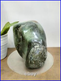 Rare green brown petrified wood polished natural home decoration 3800gr