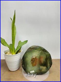 Rare green crystal petrified wood polished natural home decoration 2100gr Rare green crystal petrified wood polished natural home decoration 2100gr