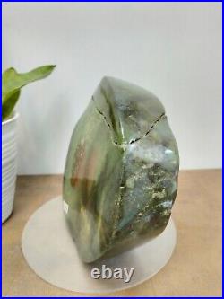 Rare green crystal petrified wood polished natural home decoration 2100gr