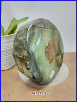 Rare green crystal petrified wood polished natural home decoration 2100gr