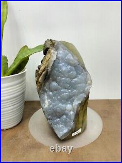Rare green crystalized petrified wood polished natural home decoration 2000gr