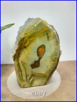 Rare green crystalized petrified wood polished natural home decoration 2000gr