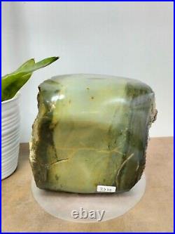 Rare green crystalized petrified wood polished natural home decoration 2700gr