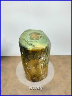 Rare green petrified wood polished natural home decoration or collection 2190gr