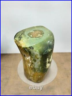 Rare green petrified wood polished natural home decoration or collection 2190gr
