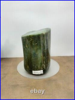 Rare green petrified wood polished natural home decoration with crystal 1977gr