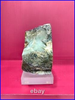 Rare green petrified wood stone craft crystal home decoration 1551gr