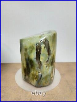 Rare green petrified wood / tree fossil polished 1400gr for collection 327