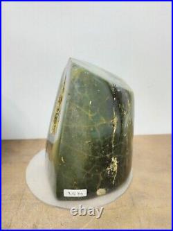 Rare green petrified wood / tree fossil polished 1500gr for collection