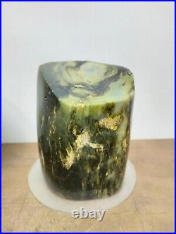 Rare green petrified wood / tree fossil polished 1500gr for collection