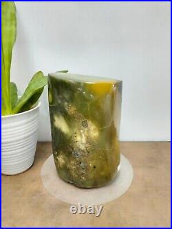 Rare green yellow petrified wood polished natural home decoration 2200gr 340