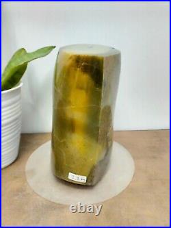 Rare green yellow petrified wood polished natural home decoration 2200gr 340