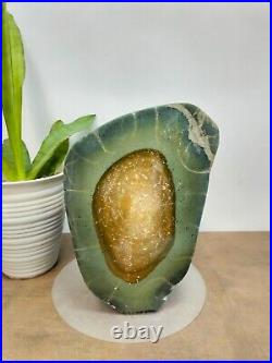 Rare green yellow petrified wood polished natural home decoration 3300gr